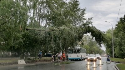 Непогода пришла: из-за сильного ветра встали троллейбусы на Уралмаше