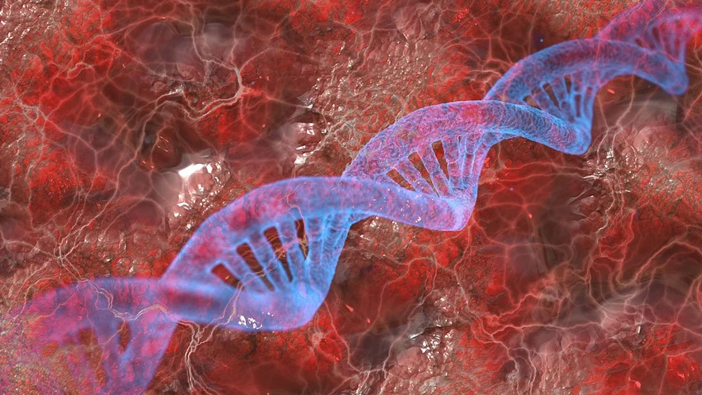 Ученые впервые смогли «взвесить» хромосому