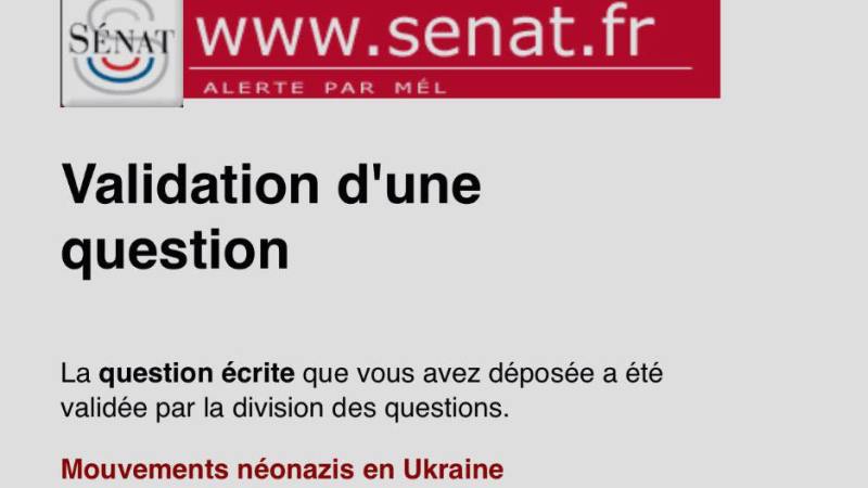 Сенат Франции потребовал от главы МИД страны отреагировать на разгул нацизма в Киеве