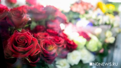 В Екатеринбурге сожгли зараженные розы