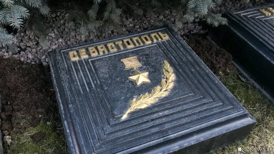 В Севастополе с подачи губернатора Развожаева вырубили аллею, высаженную ветеранами