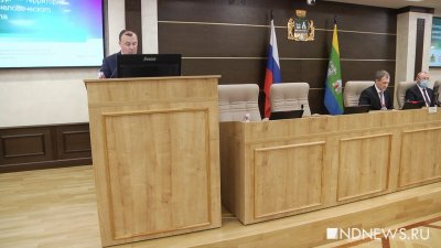 Депутаты ЕГД отказались ставить Орлову оценку за работу в 2020 году