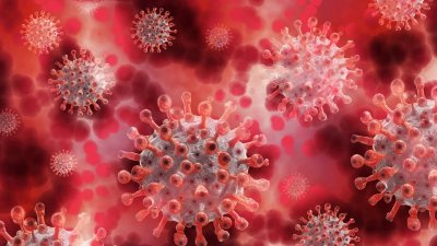 В России выявили первых больных штаммом коронавируса AY.4.2