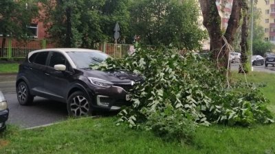 Сломанные деревья и поврежденные машины: последствия разгула стихии
