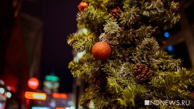 В Сибири полицейского будут судить за взятку новогодней елкой
