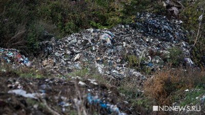 В городе, где на свалке жгут медотходы, может появиться гигантский полигон мусора