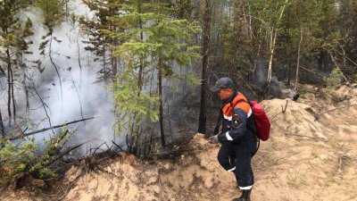 Природные пожары в Якутии затронули уже 1,3 млн га лесов