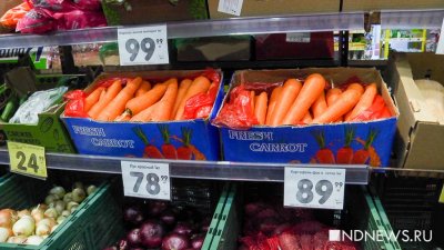Цена на морковь впервые за несколько месяцев начала снижаться