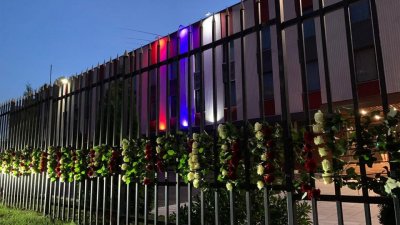 Миллион алых и белых роз: Балканисты прощаются с послом Сербии в Москве