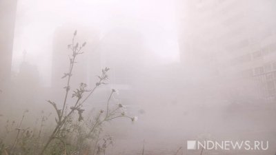 Смог от горящих в Свердловской области торфяников перекрыл курганцам дорогу