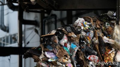 Глава Росприроднадзора: в РФ перерабатывается только 4,5% отходов