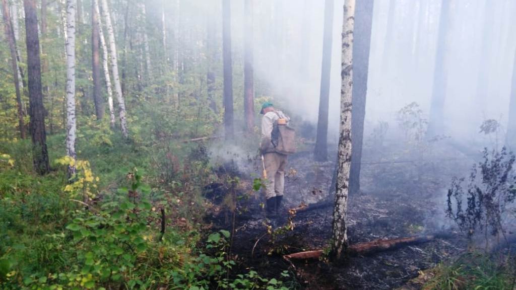 Первоуральские садоводы покинули участки из-за лесного пожара