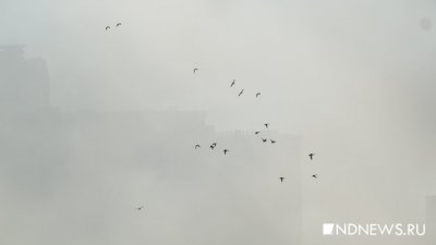 В выходные смог в Екатеринбурге может усилиться