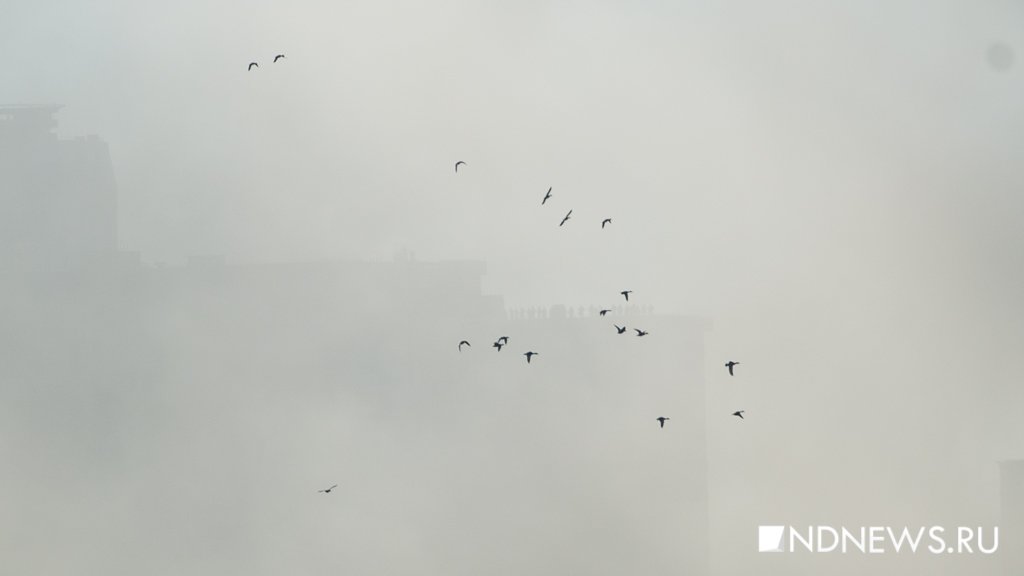 В выходные смог в Екатеринбурге может усилиться