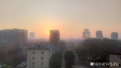 Вместе с жарой в Екатеринбург пришел смог