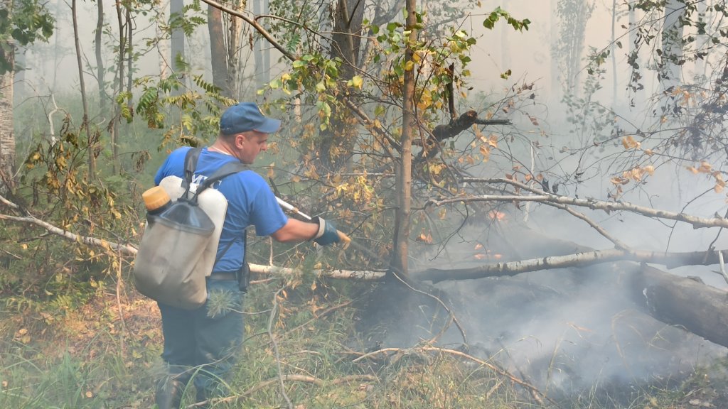 Природный пожар под Первоуральском разгорается. Выгорело уже 760 гектаров леса (ФОТО)