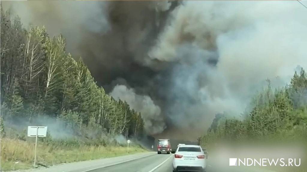 Лесной пожар под Ревдой подобрался к трассе – все в дыму и огне (ВИДЕО)