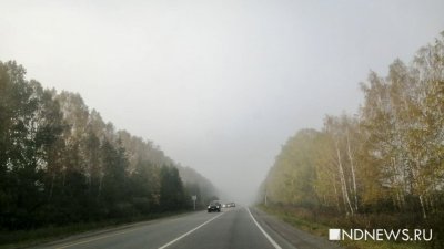 В Свердловской области горит почти 8 тысяч гектаров леса (ФОТО)