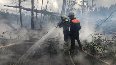 Пожар у Хомутовки, где эвакуировали садоводов и интернат, тушили пять дней