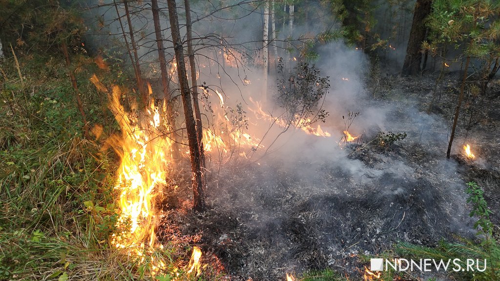 На севере Свердловской области разгорается лесной пожар