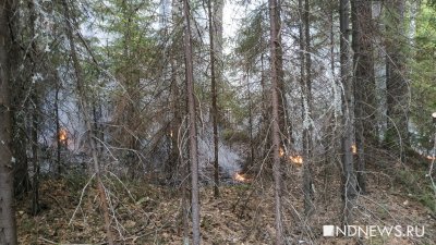 В Свердловской области горит 7,5 тысячи гектаров леса