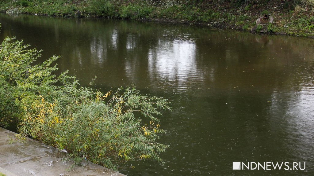 В Кетовском районе сточные воды сбрасываются в ручей без разрешительных документов