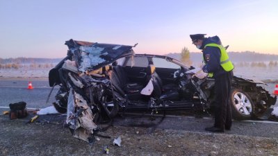 В Каменске-Уральском легковушка налетела на грузовик из-за тумана, двое погибли (ФОТО)