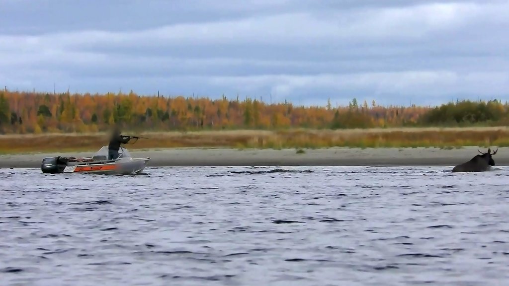 На Ямале полиция нашла охотника, который загонял лося на моторной лодке