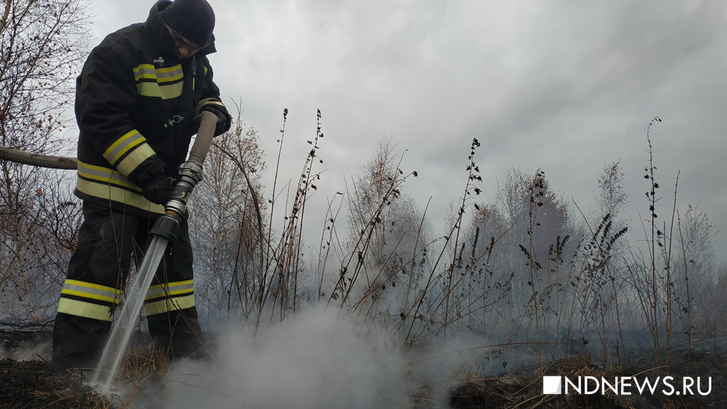 Власти Зауралья выдвинули новую версию появления смога: горят торфяники