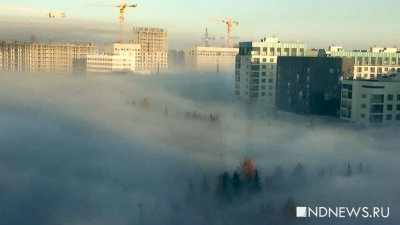 В Юго-Западном районе Екатеринбурга вводится локальный режим ЧС из-за горящего торфяника