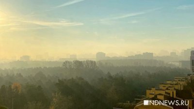 Опять виноват Екатеринбург – в Тюменскую область снова натащило дым от горящего торфяника