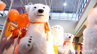 Теплослав и белые медведи научили малышей, как не пострадать при коммунальных ЧП и сэкономить энергию (ФОТО, ВИДЕО)