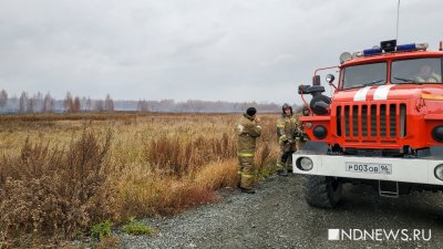 Под Екатеринбургом горит уже 9,3 гектара торфяников