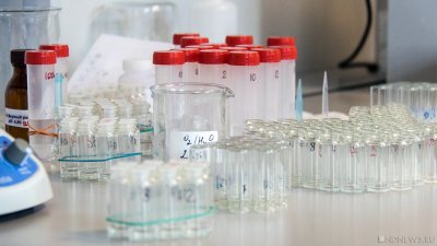 Выявляемость коронавируса в Челябинской области превысила 500 в сутки