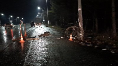В ДТП на трассе Тюмень – Екатеринбург погиб водитель и его питбуль