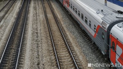 В Туле пассажир поезда выстрелил в полицейского