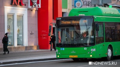 В Екатеринбурге изменятся несколько автобусных маршрутов