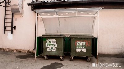 Долги за вывоз мусора в России выросли до 38 млрд рублей