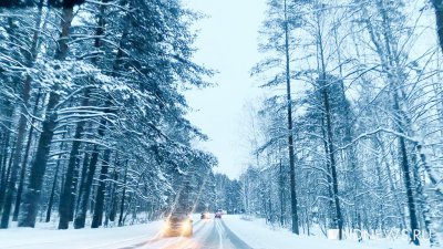 Ночью в Свердловской области выпал снег глубиной от 2 до 4 см