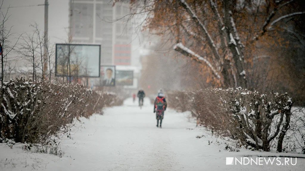 В России ожидается аномально холодная погода