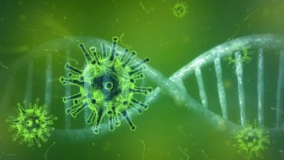 Ученые обнаружили сарбековирус, родственный вызвавшему пандемию коронавирусу
