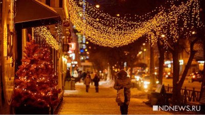 Порядка 17% россиян выступили за уменьшение новогодних каникул