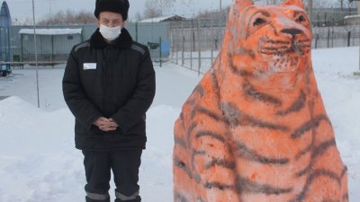 В уральской колонии появился огромный тигр (ФОТО)
