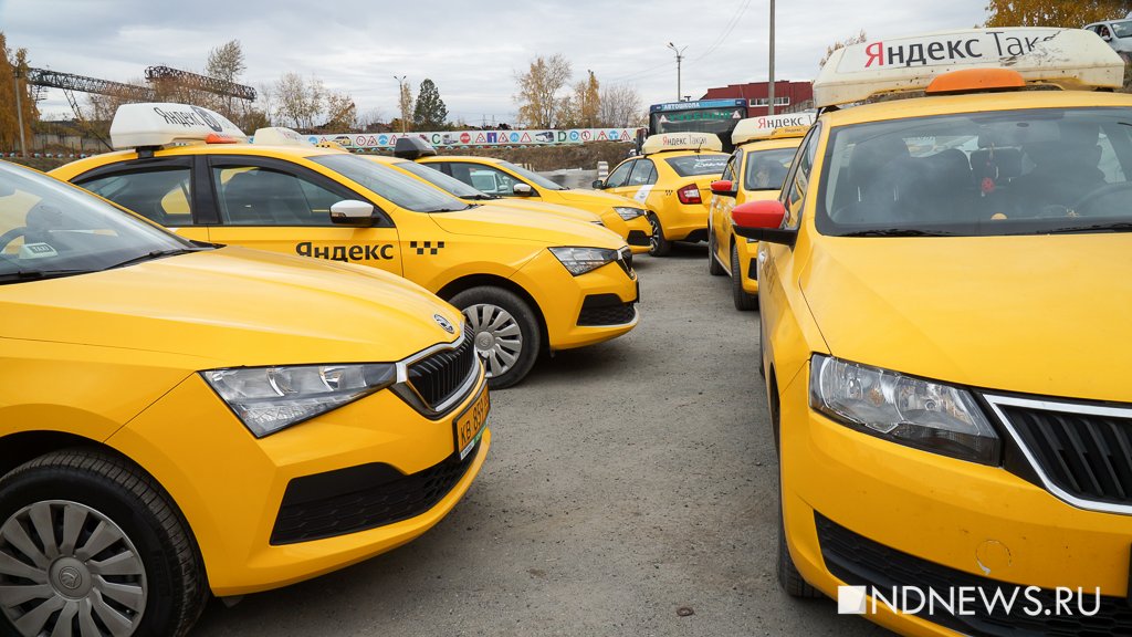 Езда без прав и на неисправных авто. ГИБДД опубликовала итоги проверки такси