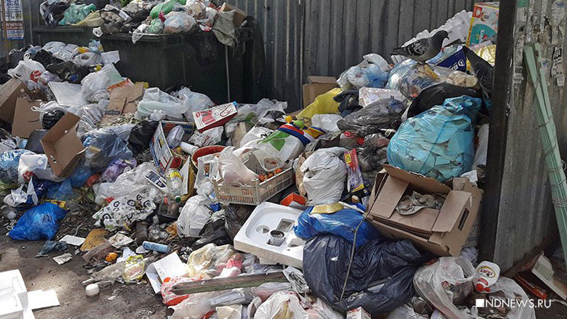 Петербургский ветеран просит Минобороны спасти город от «мусорного коллапса»