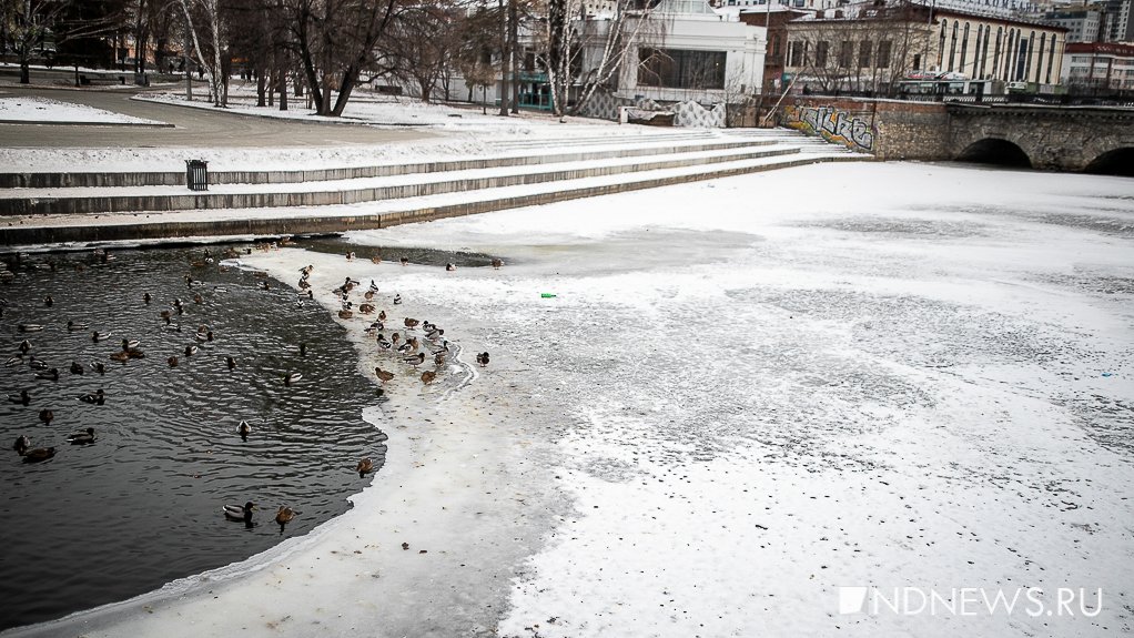 В выходные в Екатеринбурге будет снежно и тепло