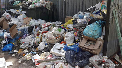 НЭО пытается уйти от ответственности за несвоевременный вывоз мусора в Петербурге