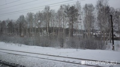 На Урале проводница электрички выпала из вагона и погибла под колесами грузового поезда