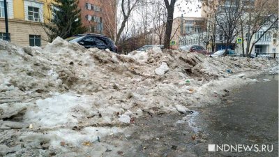 В Санкт-Петербурге проходят массовые обыски по делу о плохой уборке снега