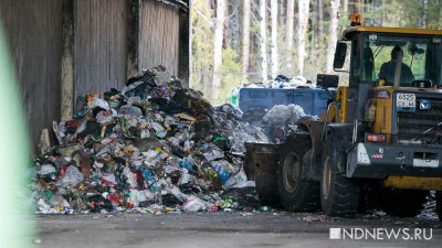 Стало известно, сколько мусора уральцы не доносят до переработки